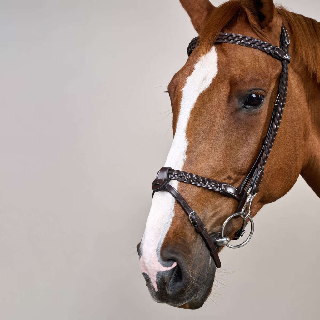 Dyon Bride Training Marron