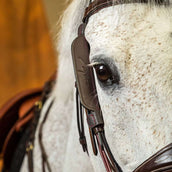 Dyon Blinkers Marron
