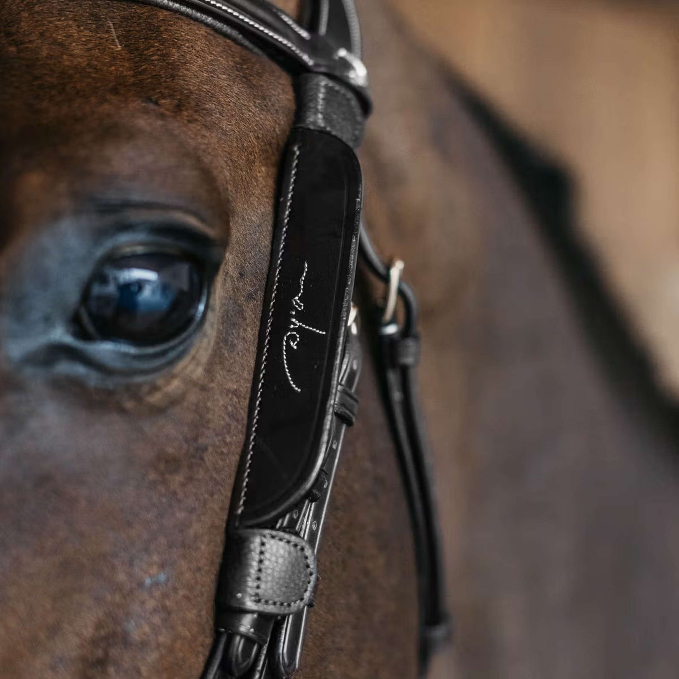 Dyon Blinkers Fancy Noir Dyon Blinkers Fancy Noir