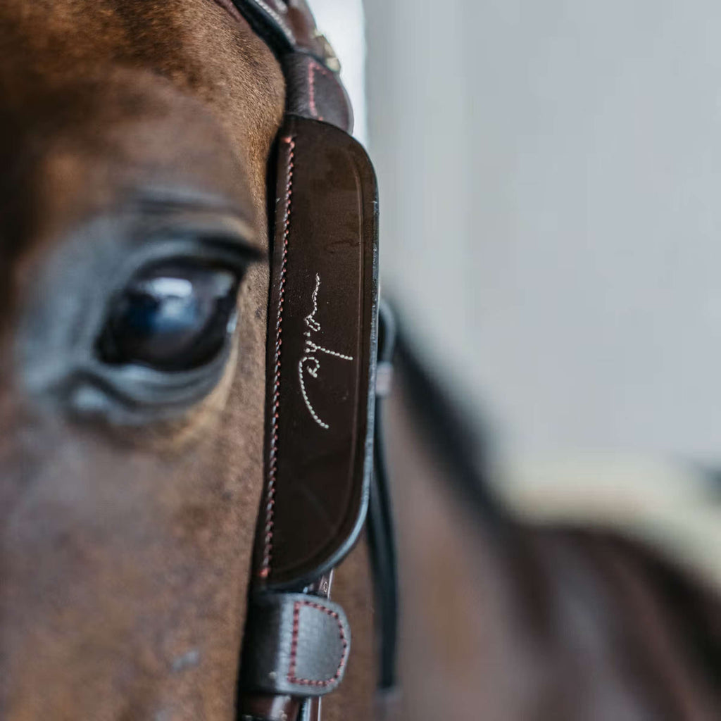 Dyon Blinkers Fancy Marron