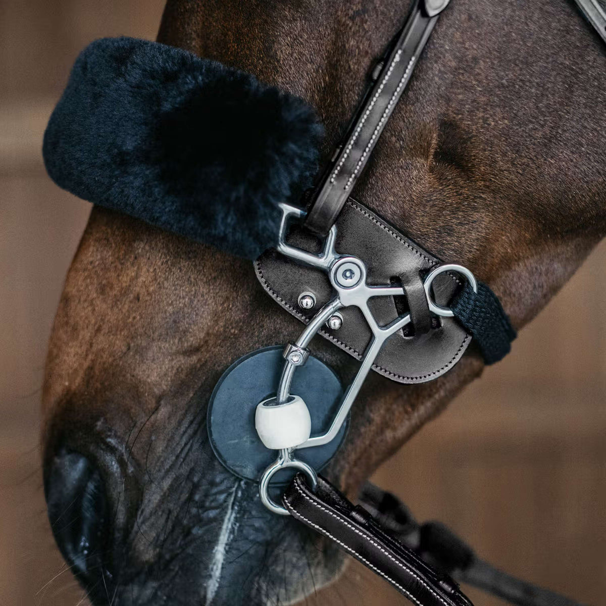 Dyon Protection Hackamore Noir