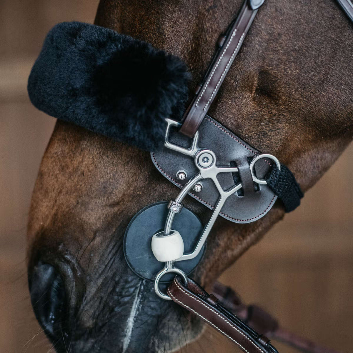 Dyon Protection Hackamore Marron