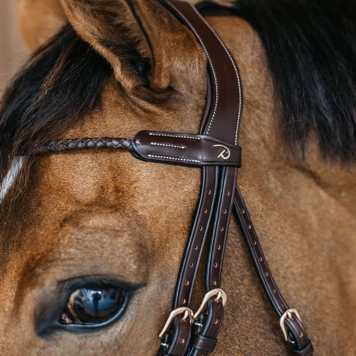 Dyon Frontal Braided Marron