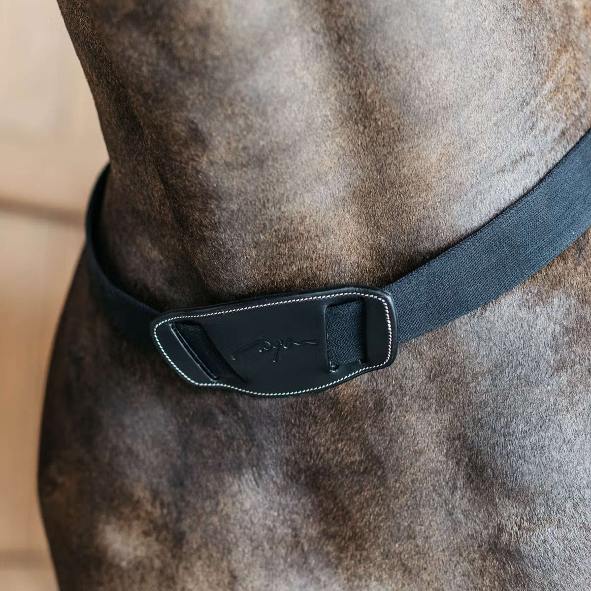 Dyon Collier de Chasse Elastic Noir