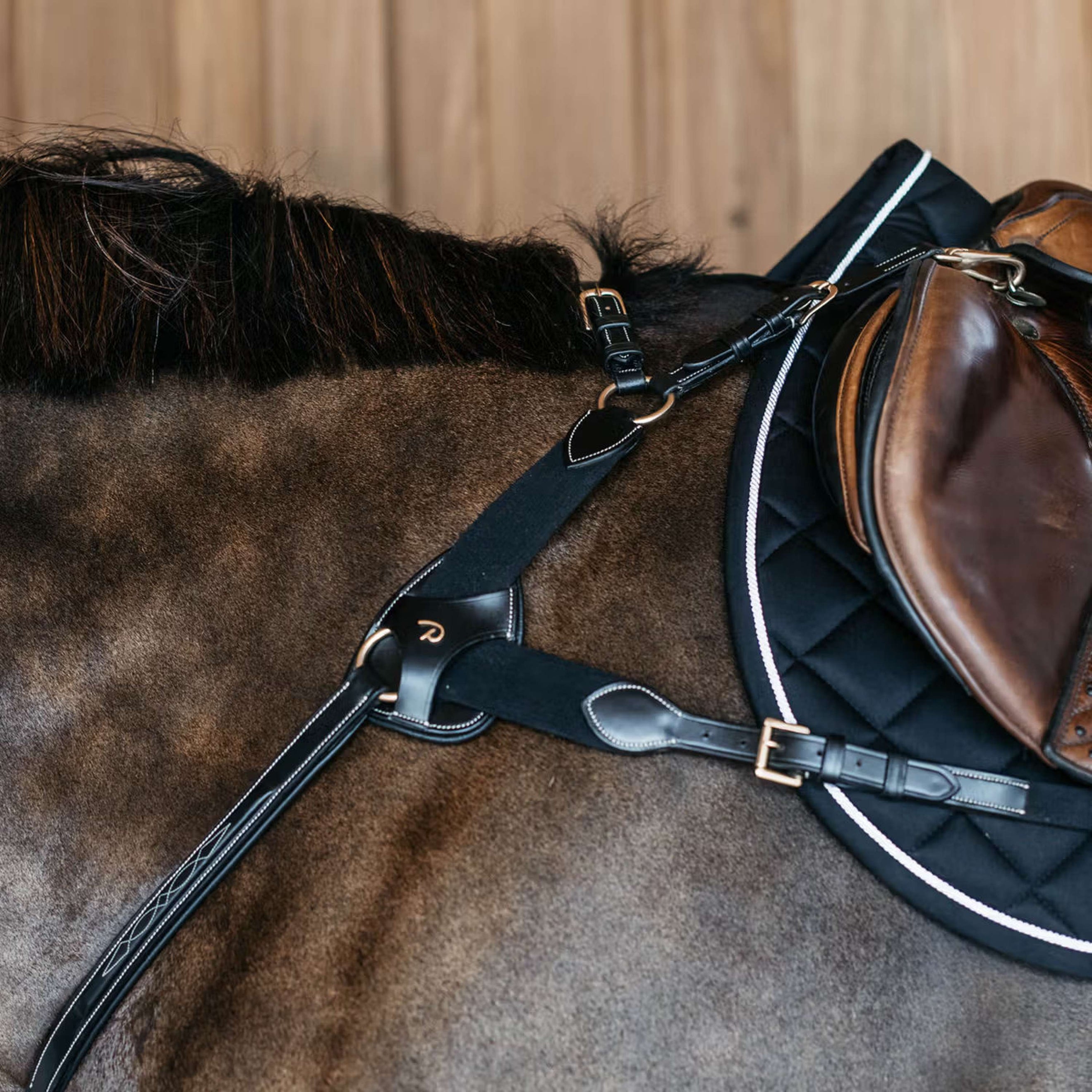 Dyon Protection de Poitrail 5 points Noir
