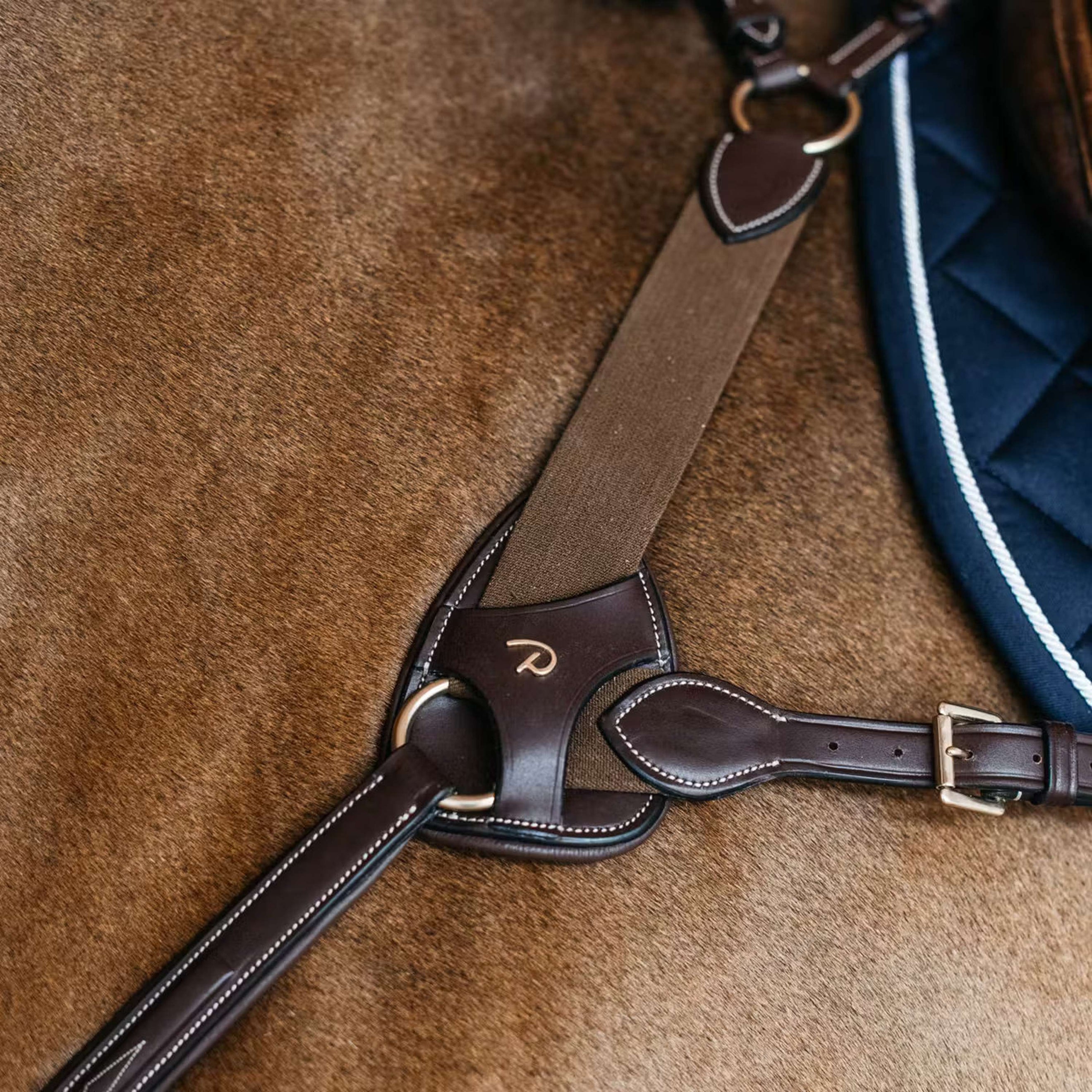 Dyon Protection de Poitrail 5 points Marron