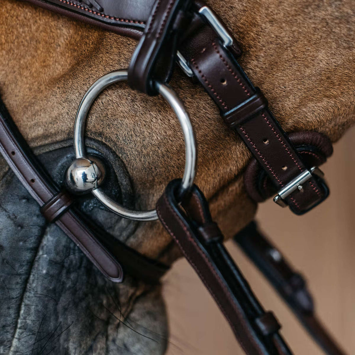 Dyon Muserolle Flash Pull-Back Tressé Marron
