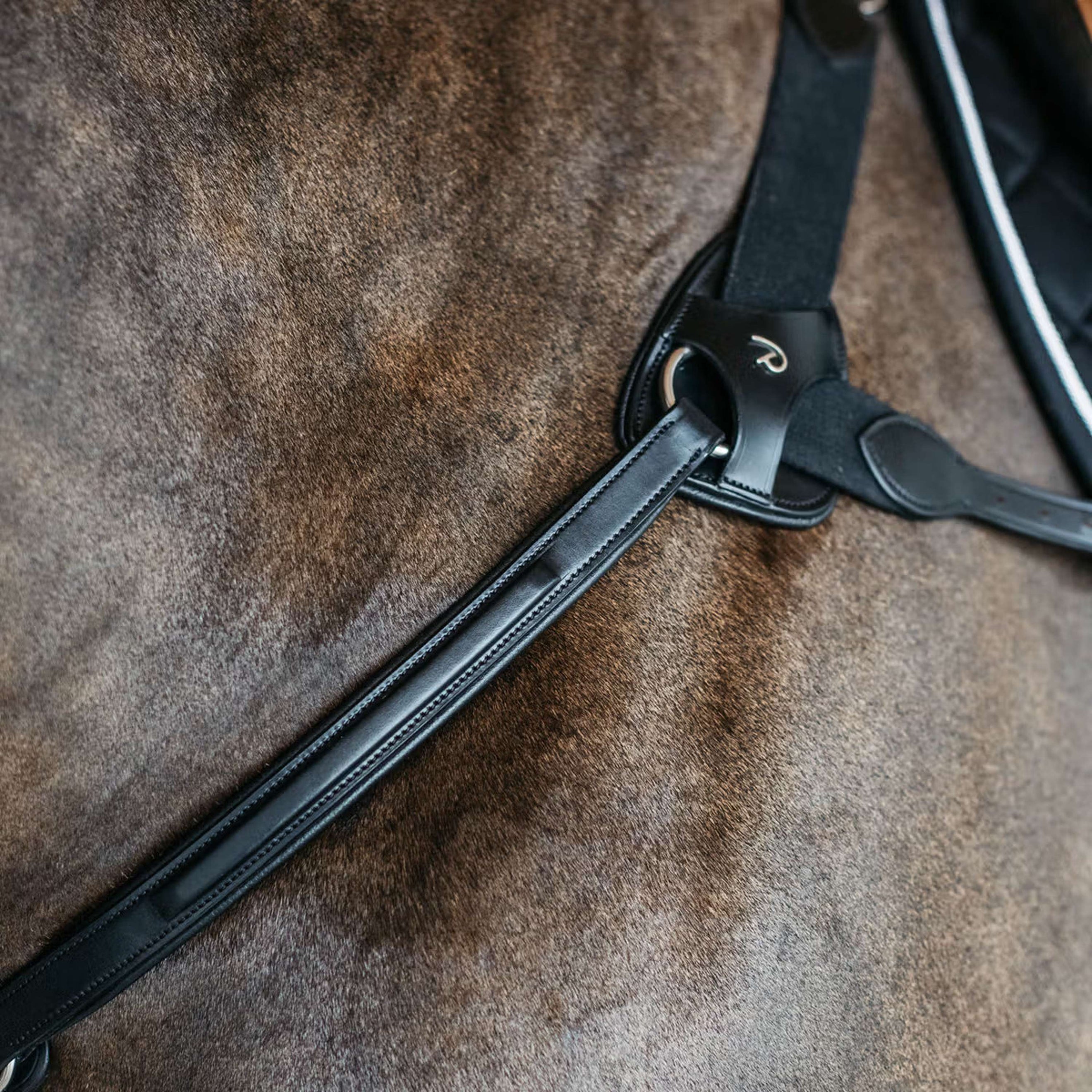 Dyon Protection de Poitrail 5 points New English Noir Dyon Protection de Poitrail 5 points New English Noir