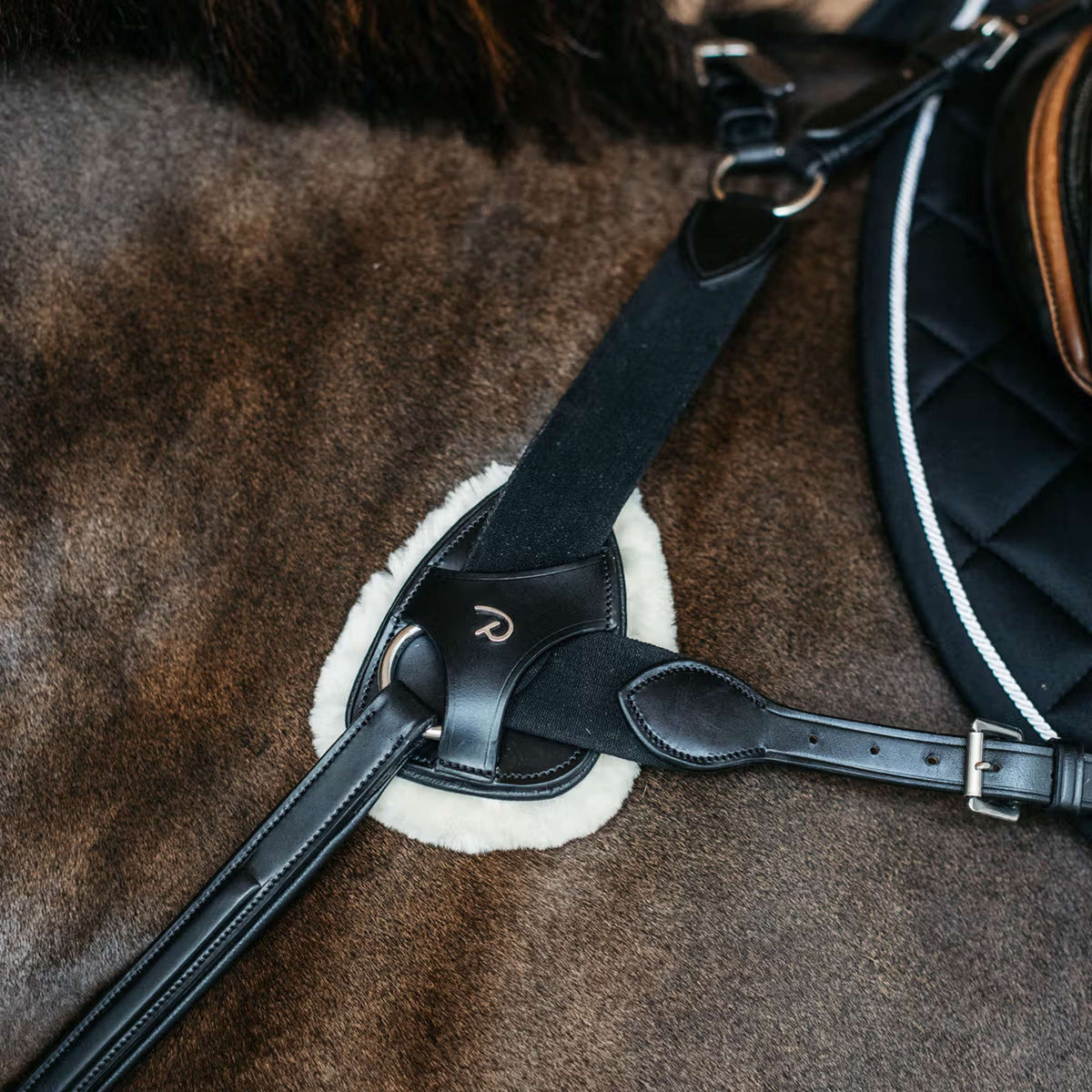 Dyon Protection de Poitrail 5 points New English Peau de Mouton Synthétique Noir