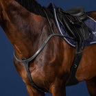 Dyon Collier de Chasse Long Bridge Noir/Argent