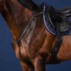 Dyon Collier de Chasse Bridge Noir
