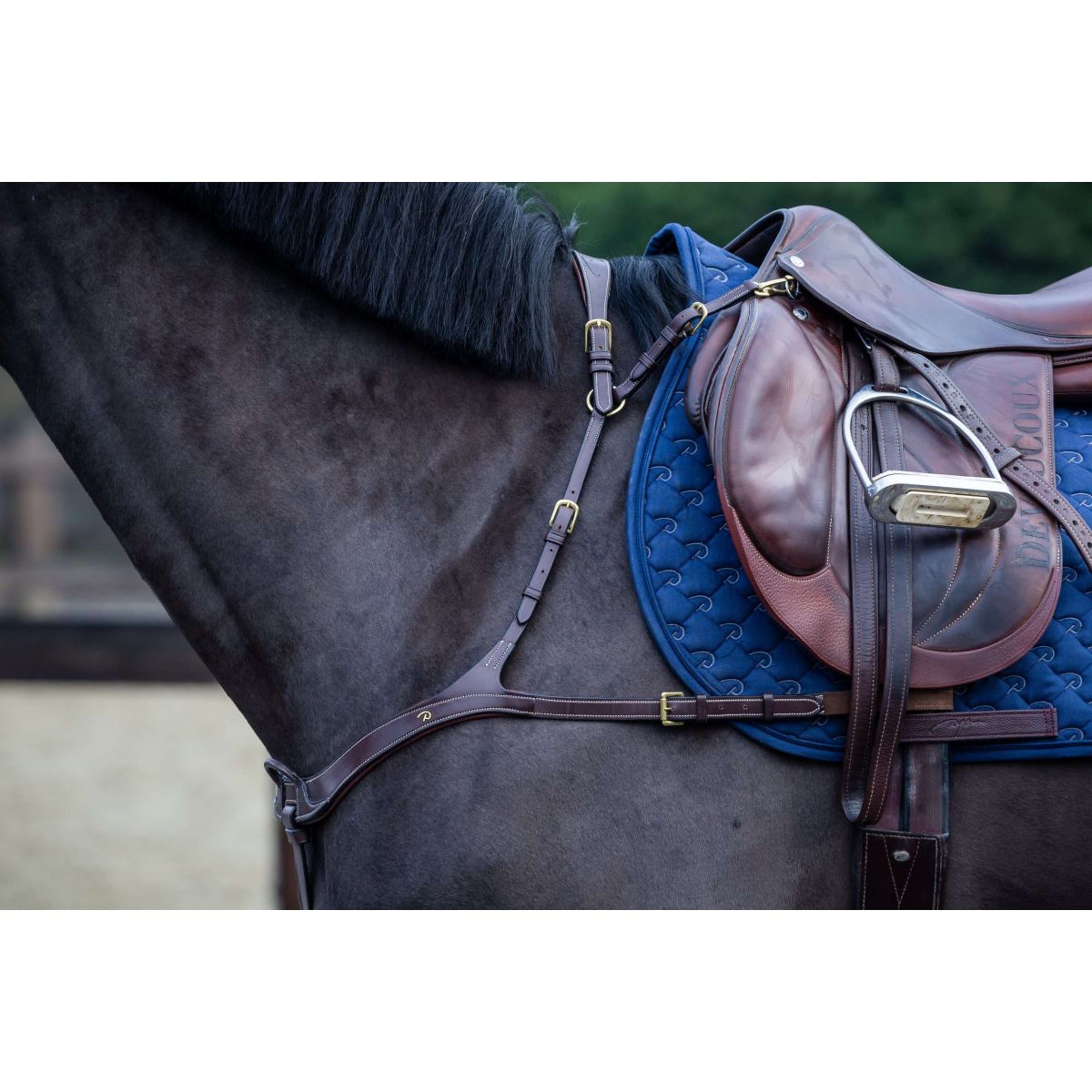 Dyon Collier de Chasse Anatomical Marron/Cuivre Dyon Collier de Chasse Anatomical Marron/Cuivre