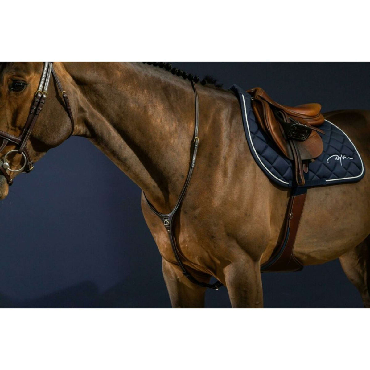 Dyon Martingale Yoke Marron