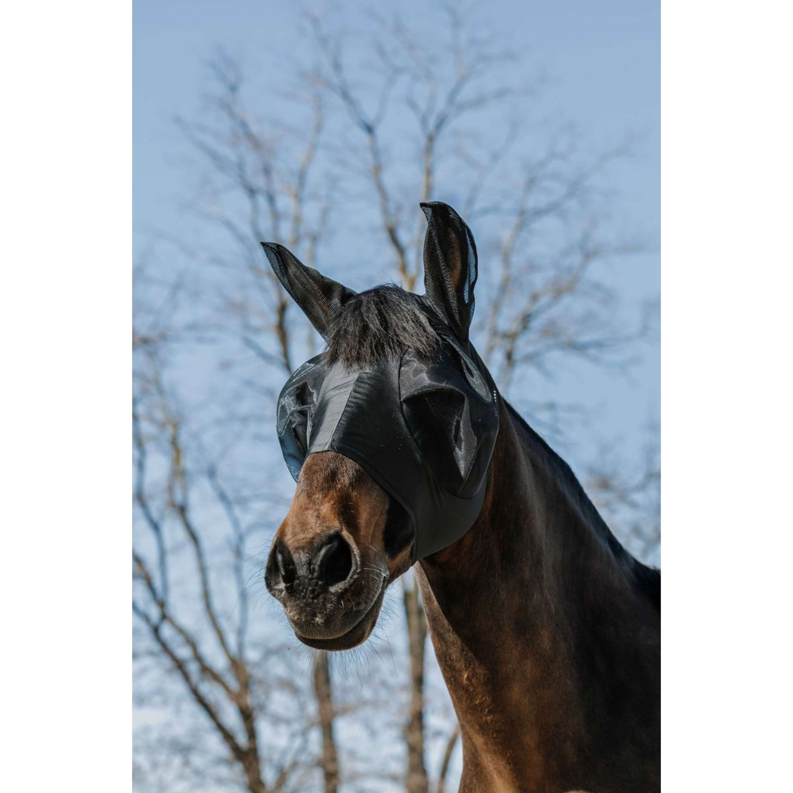 EQUITHÈME Masque Anti-Mouches Lycra avec Protection UV Noir