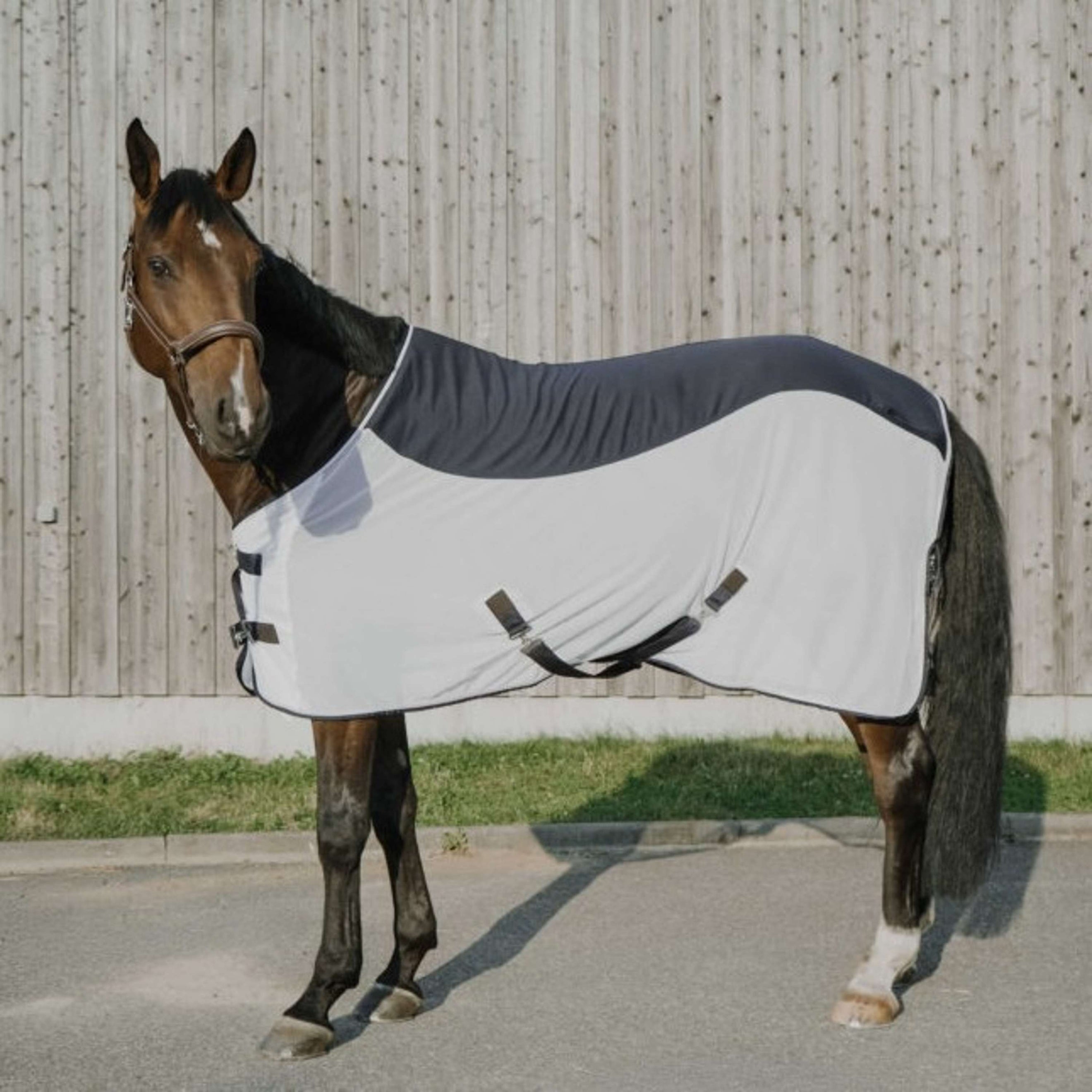 EQUITHÈME Couverture Anti-Mouches Flycool Standard Marine/Blanc