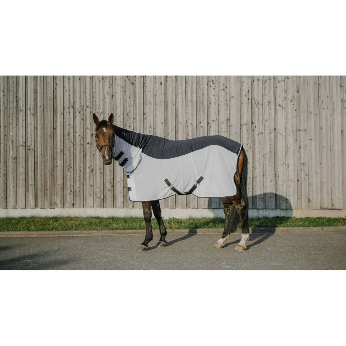 EQUITHÈME Couverture Anti-Mouches Flycool Combo avec Couvre-cou Marine/Blanc