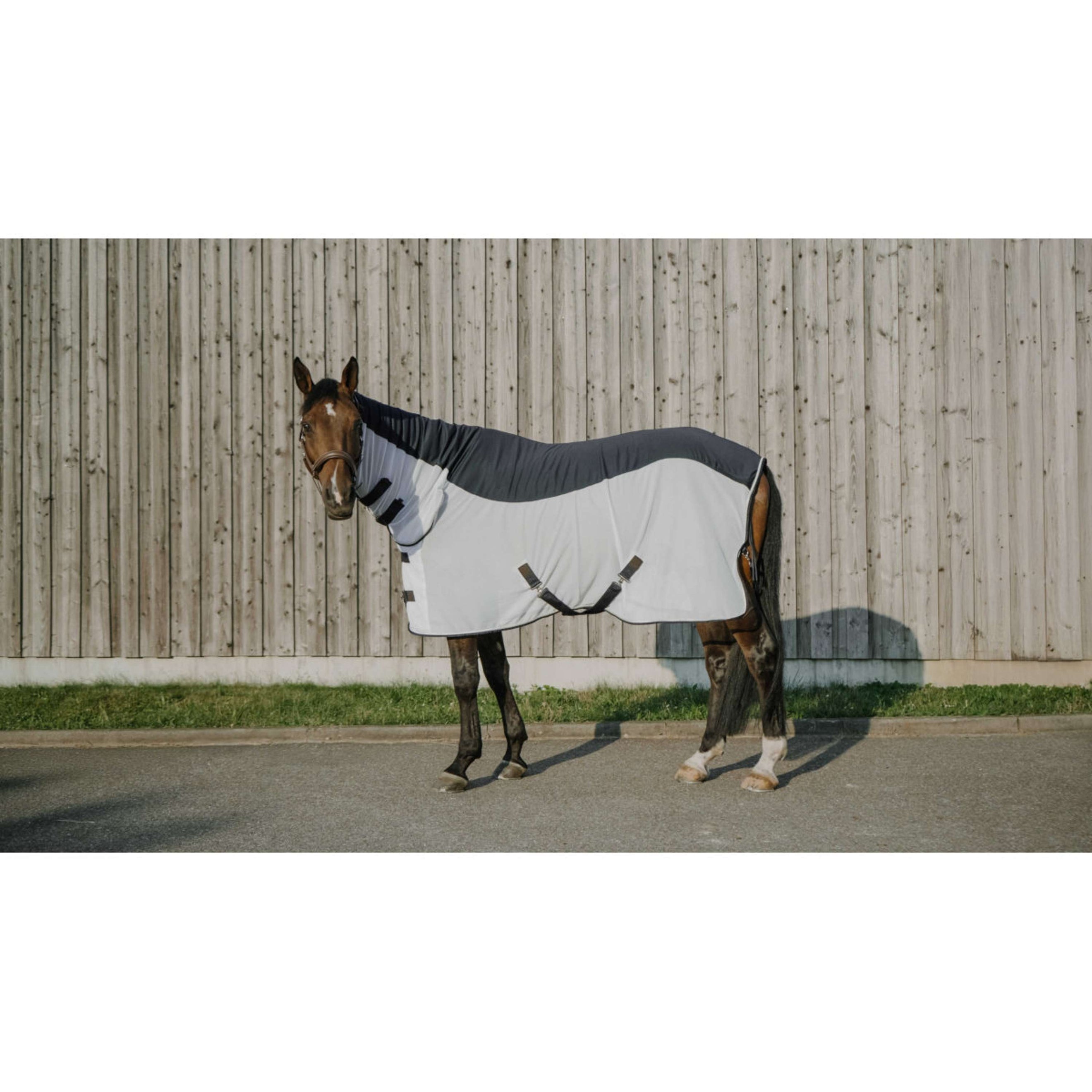 EQUITHÈME Couverture Anti-Mouches Flycool Combo avec Couvre-cou Marine/Blanc