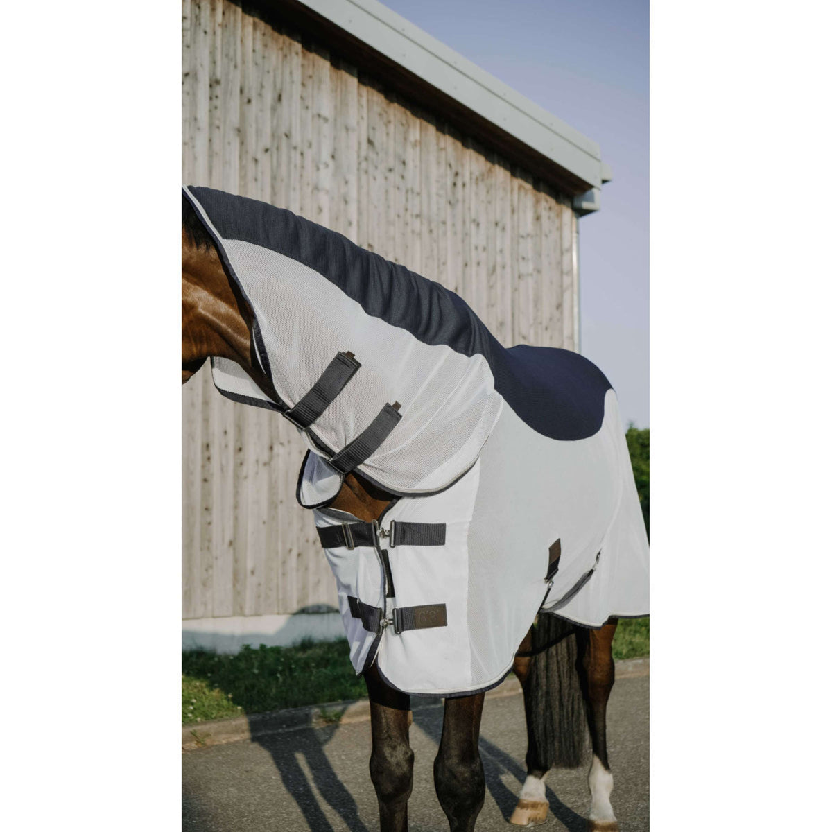 EQUITHÈME Couverture Anti-Mouches Flycool Combo avec Couvre-cou Marine/Blanc