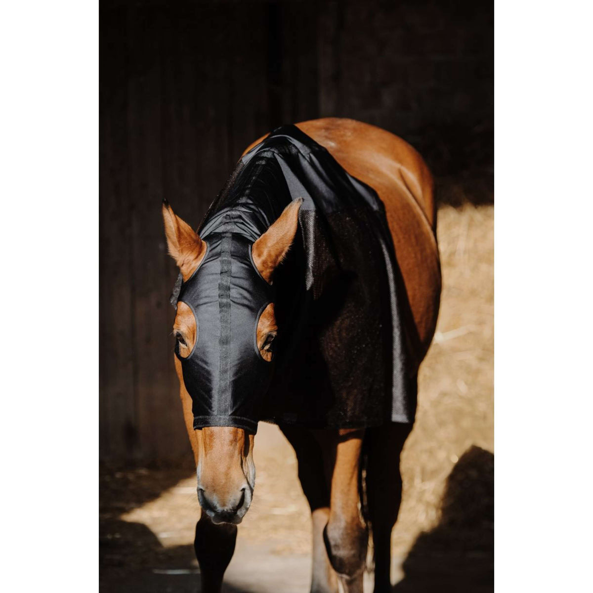 EQUITHÈME Protecteur de cou Lycra/Mesh Noir