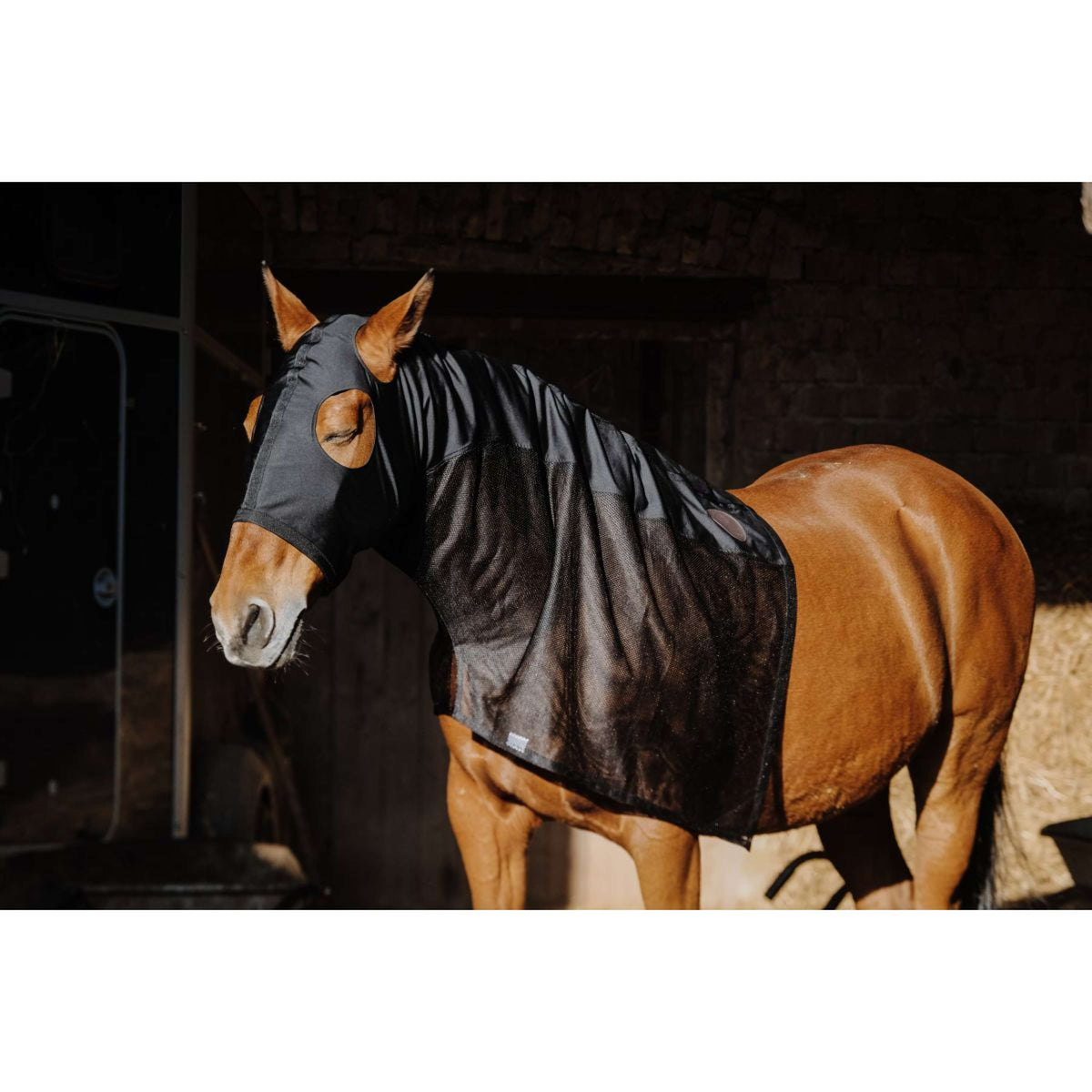 EQUITHÈME Protecteur de cou Lycra/Mesh Noir