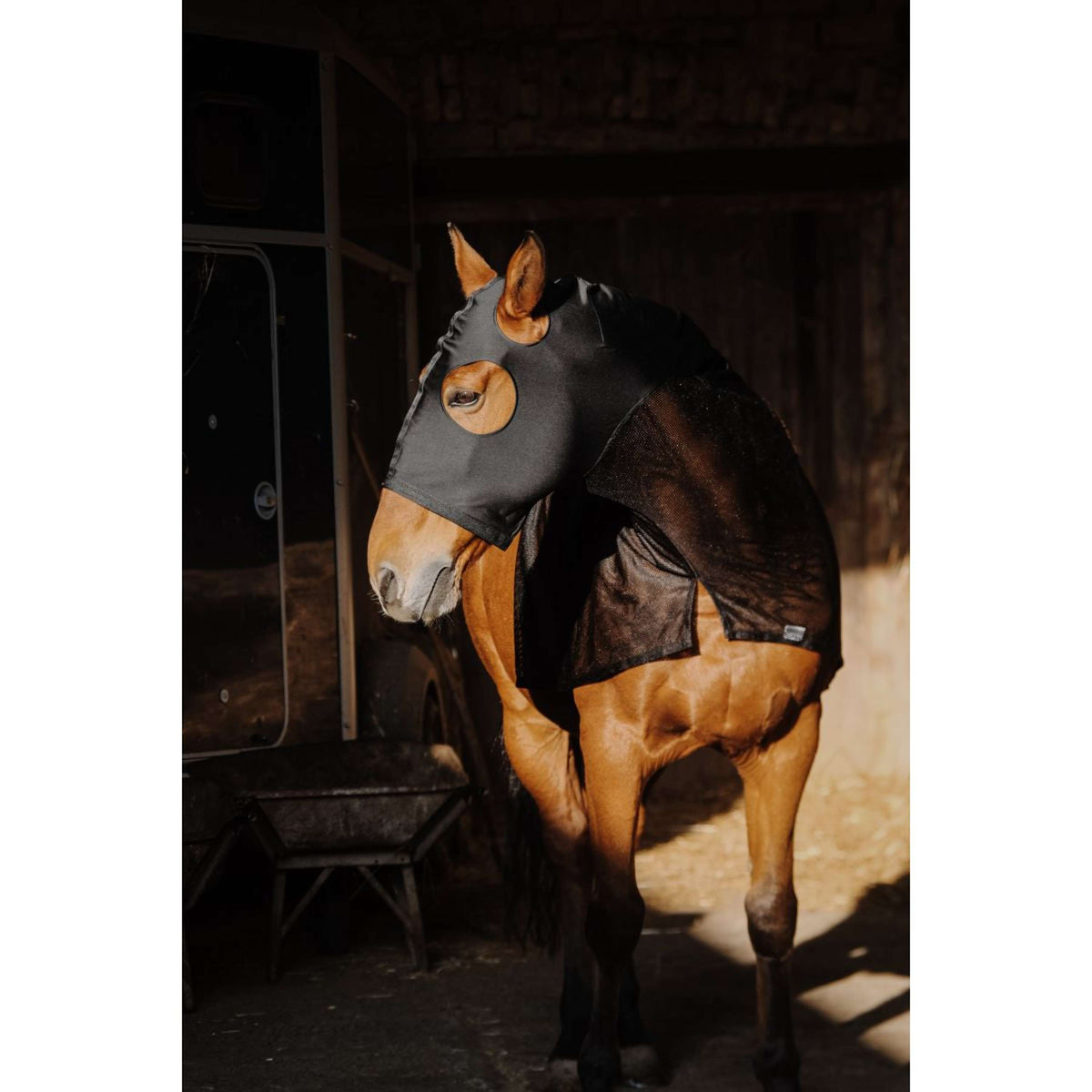 EQUITHÈME Protecteur de cou Lycra/Mesh Noir