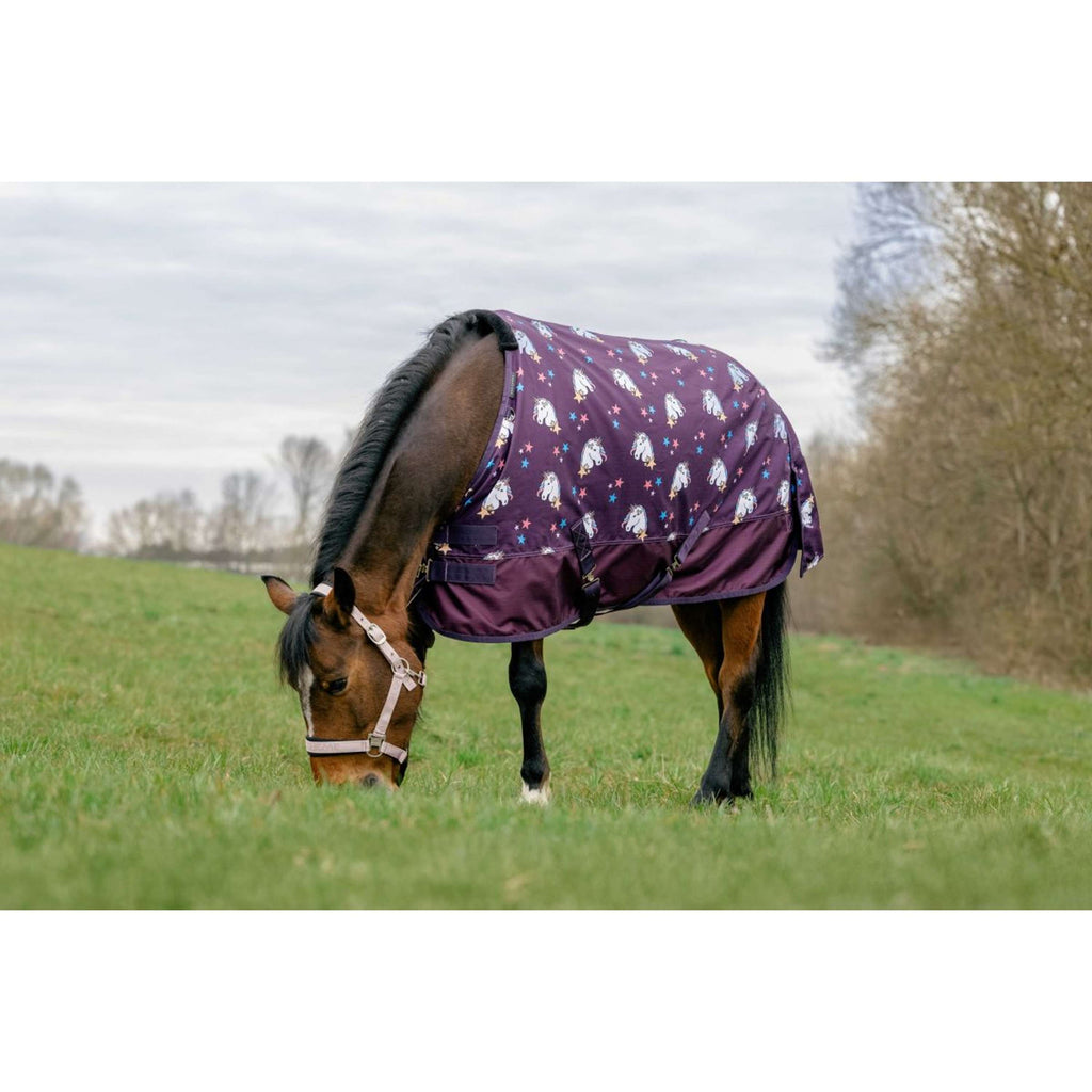 EQUITHÈME Couverture Turnout Unicorn 600D 220g Prune