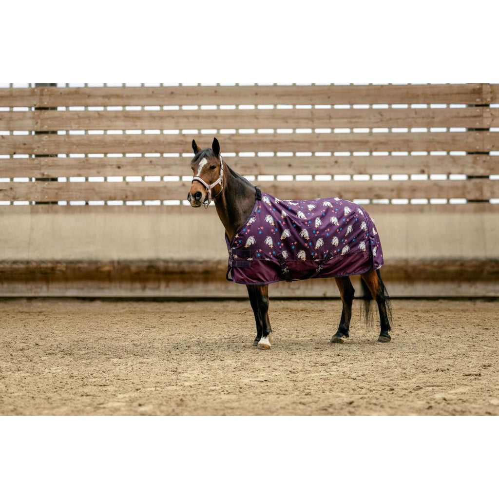 EQUITHÈME Couverture Turnout Unicorn 600D 220g Prune