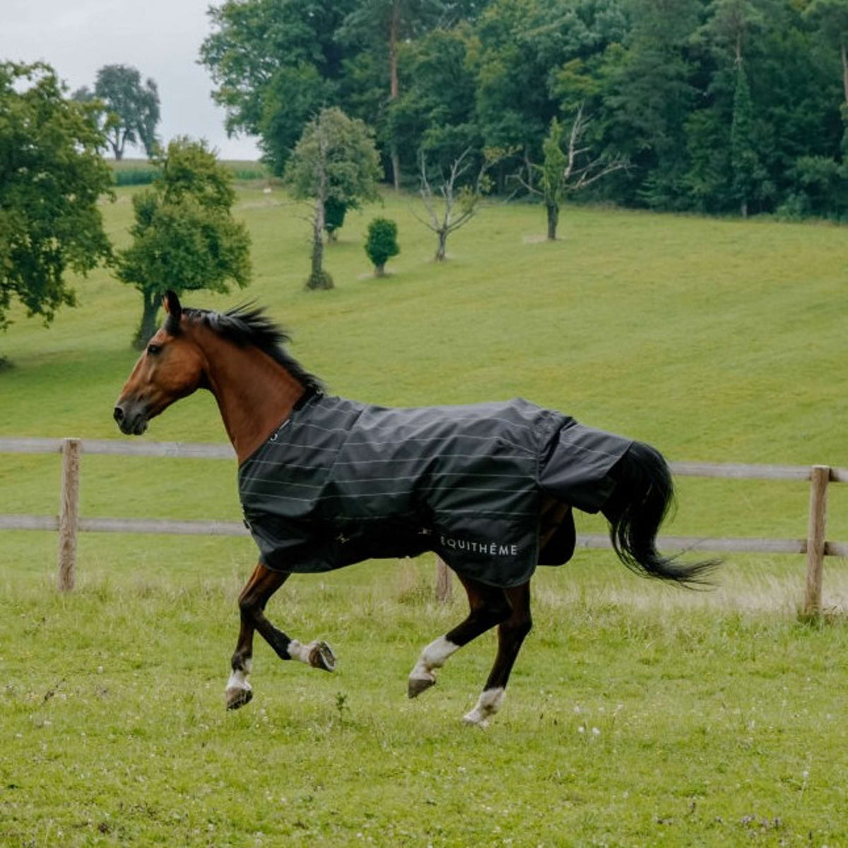 EQUITHÈME Couverture Imperméable TYREX Lumin 600D 0g Noir