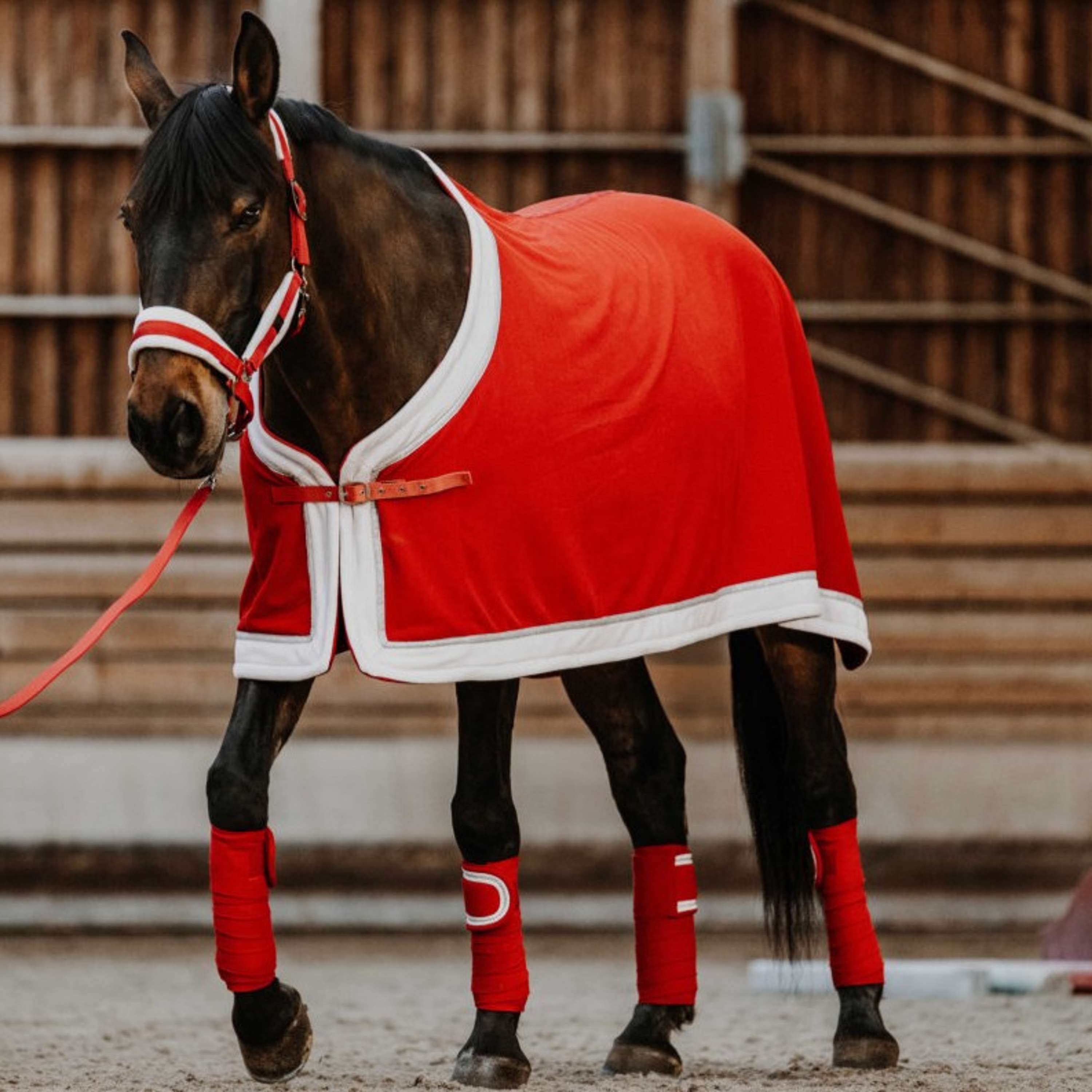 EQUITHÈME Couvertures Anti-Transpiration Noël Fleece Rouge