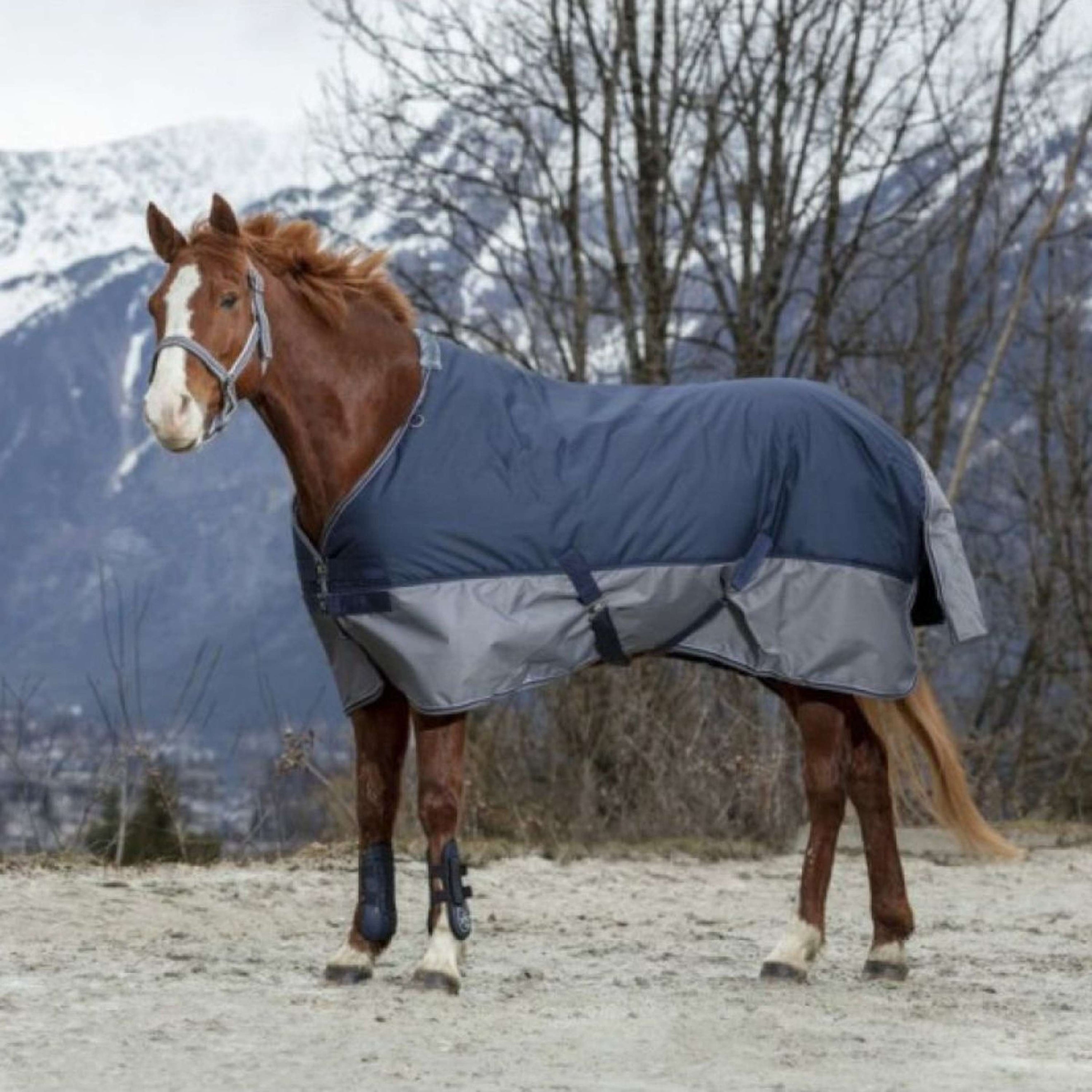 Couvertures de pluie et dhiver pour chevaux Couvertures de pluie et dhiver pour chevaux