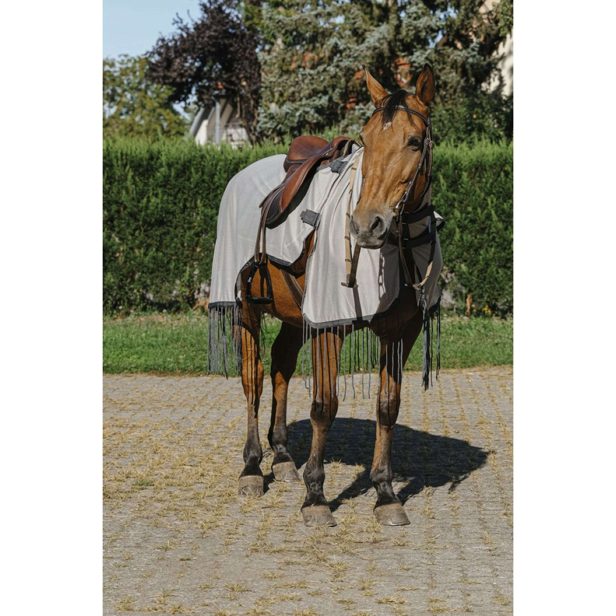 Riding World Couvre-reins Anti-Mouches Mesh Gris