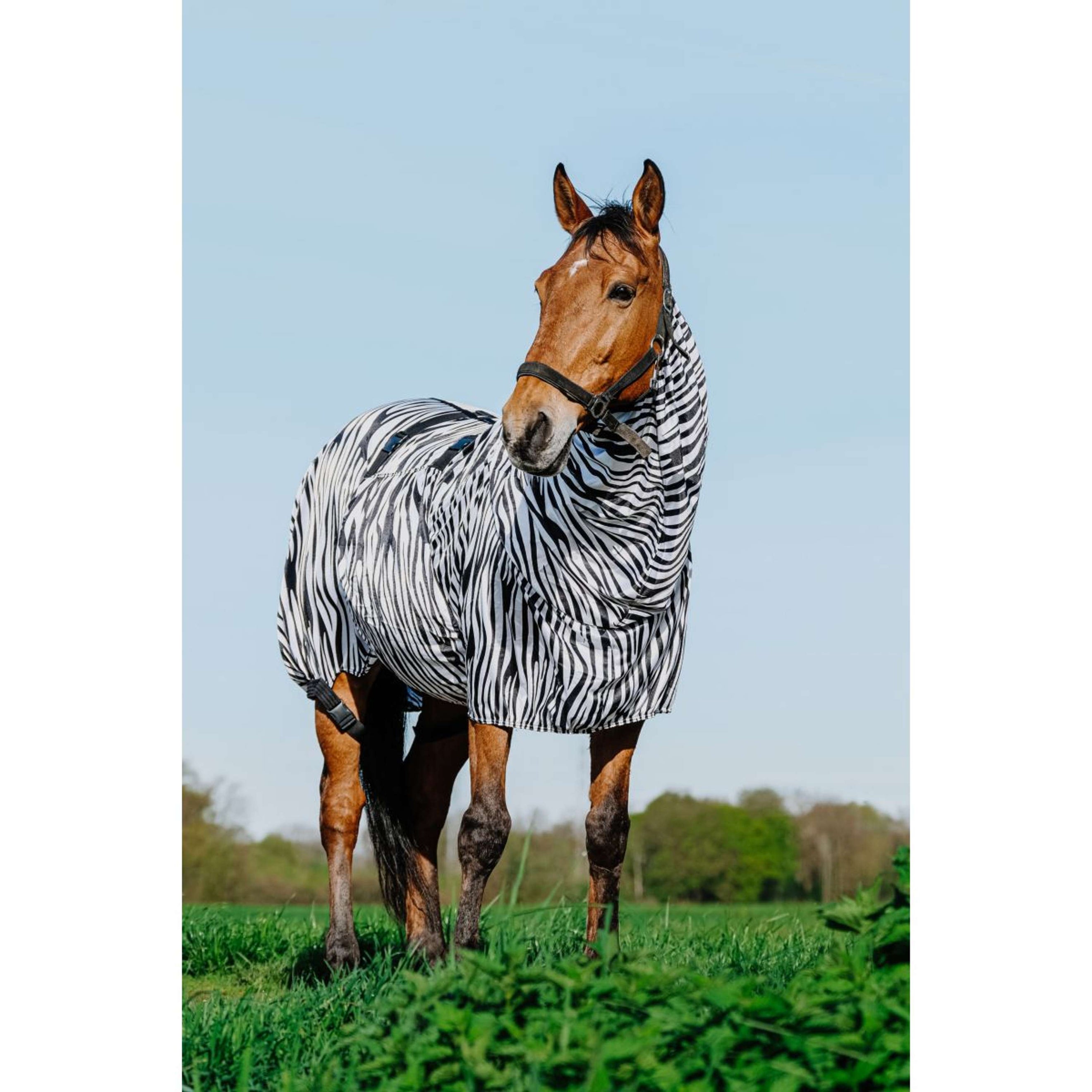 Riding World Couverture Anti-Eczema Zebra