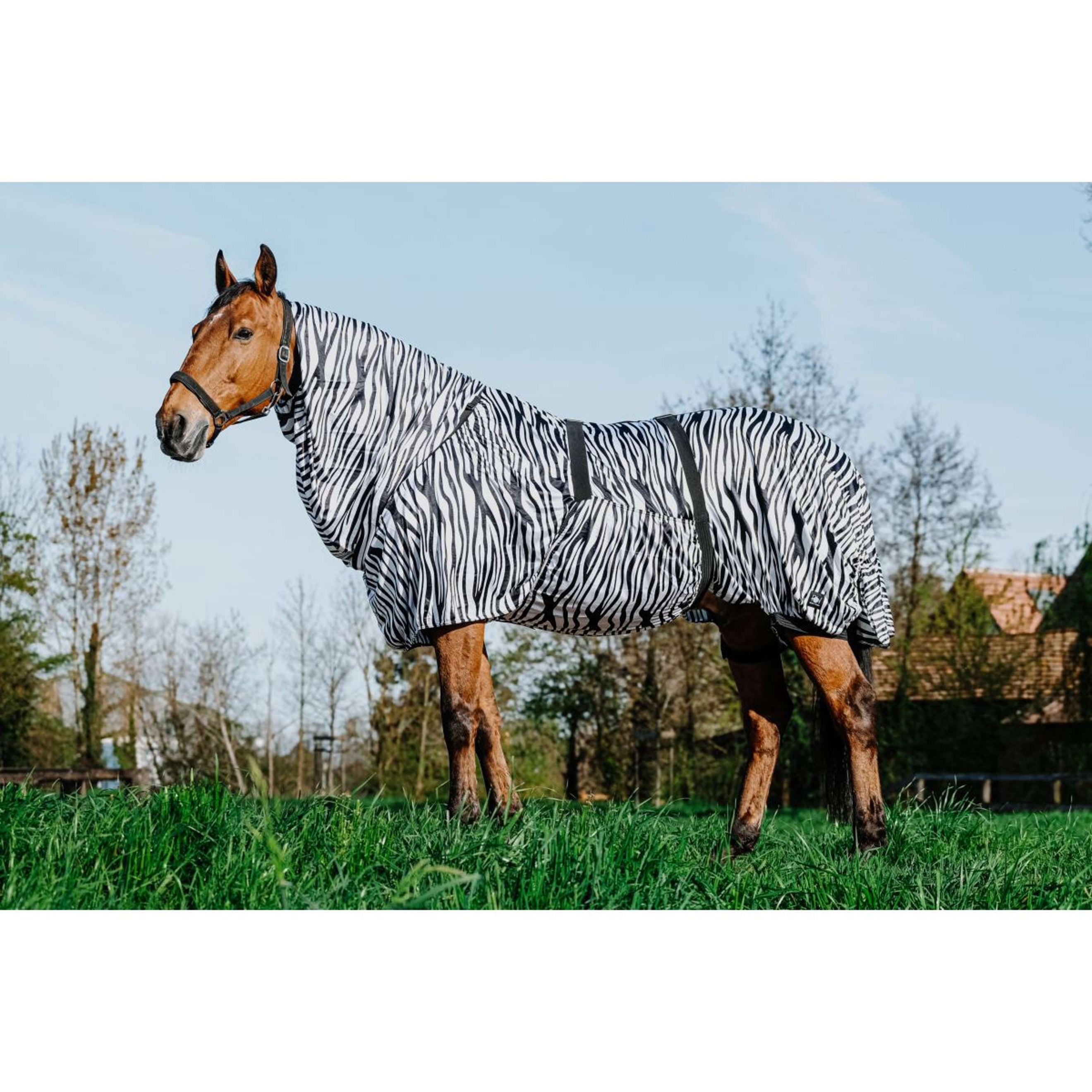 Riding World Couverture Anti-Eczema Zebra Riding World Couverture Anti-Eczema Zebra