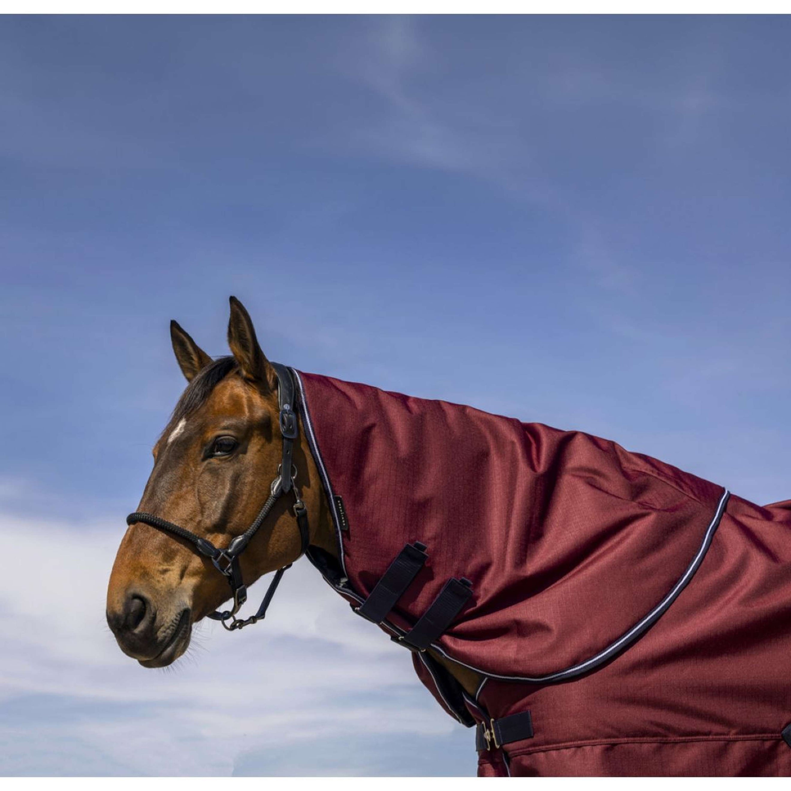 EQUITHÈME Couvre-Cou Tyrex 1200D 0g Bordeaux