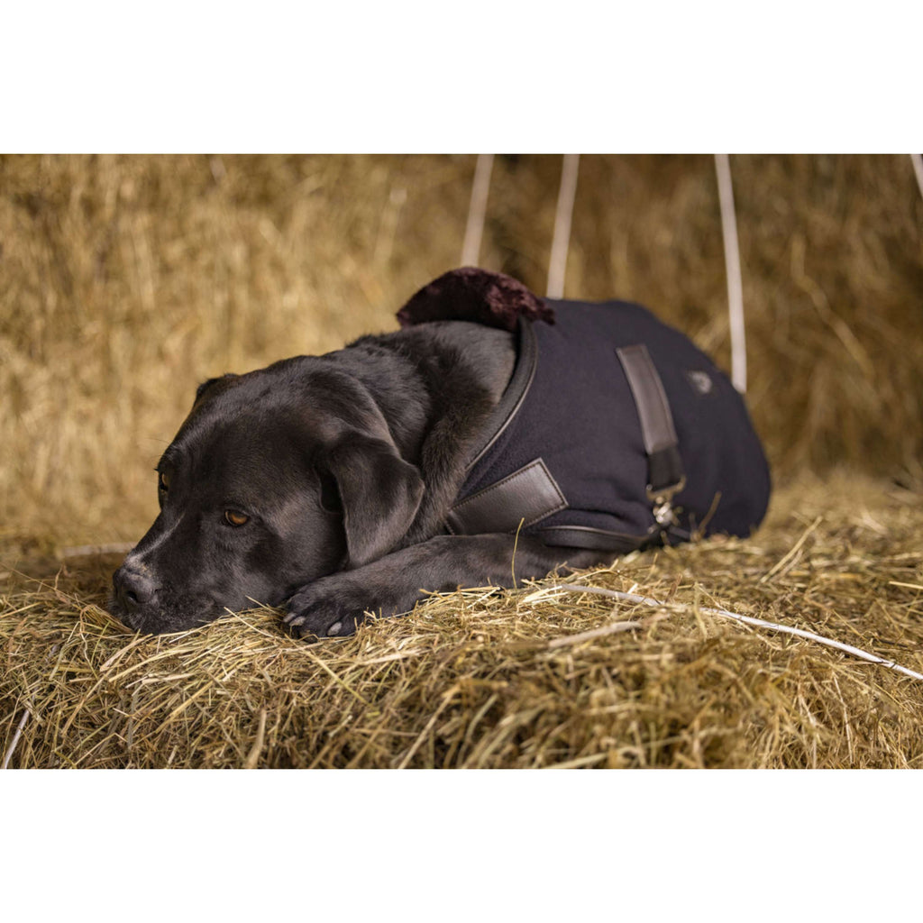 Diego & Louna Couverture pour Chien Polar Noir