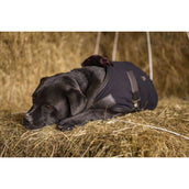 Diego & Louna Couverture pour Chien Polar Noir