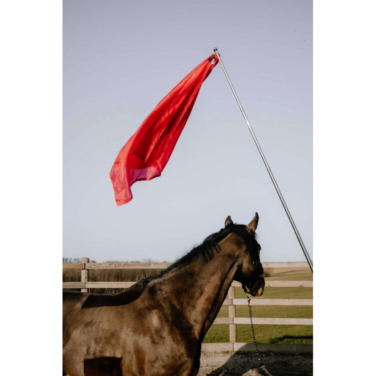 Hippotonic Bâton d'entraînement Ethologisch avec drapeau Rouge