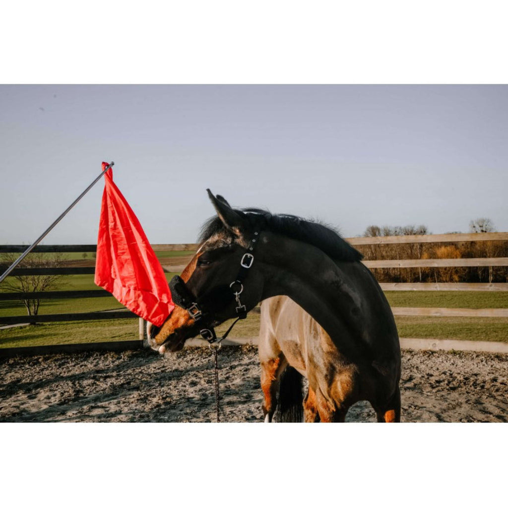 Hippotonic Bâton d'entraînement Ethologisch avec drapeau Rouge