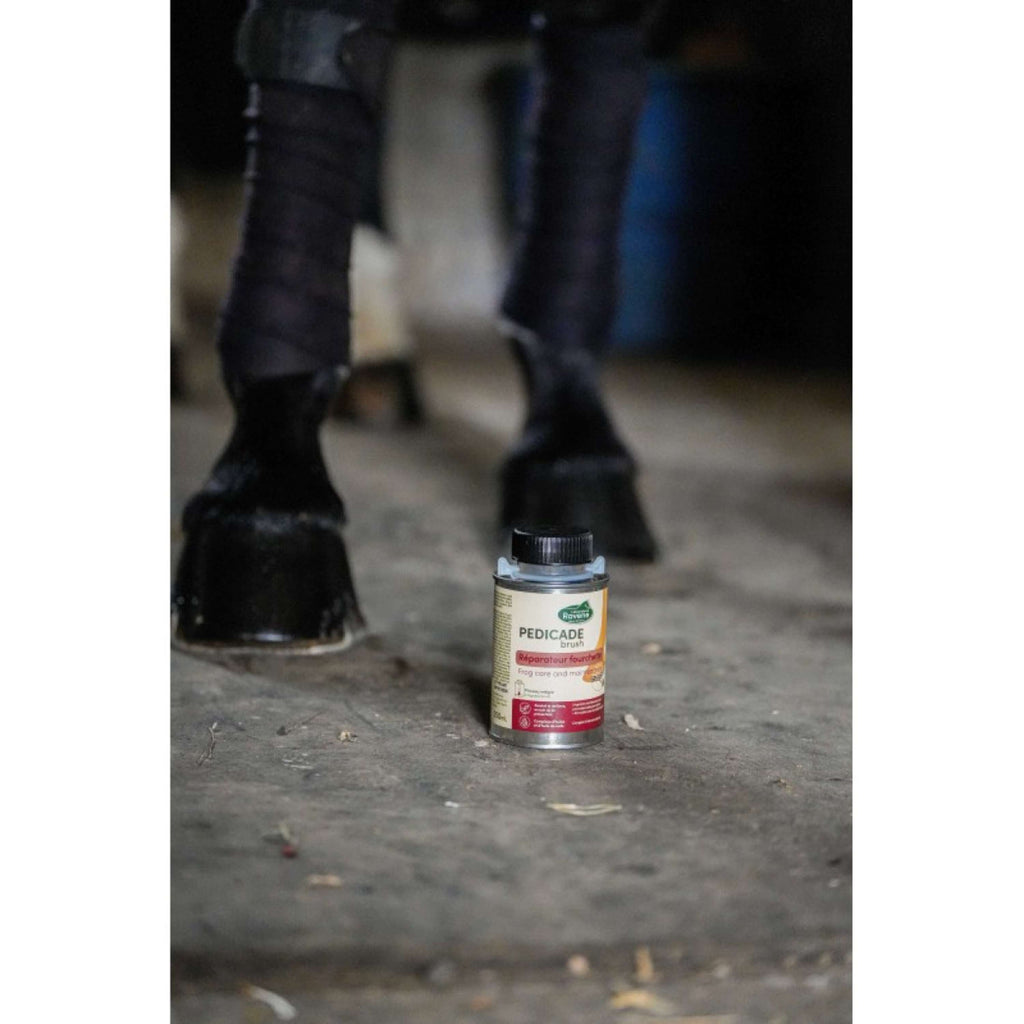 Ravene Pedicade Brush pour Sabots Chevaux