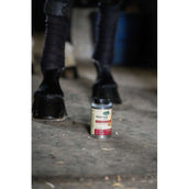 Ravene Pedicade Brush pour Sabots Chevaux