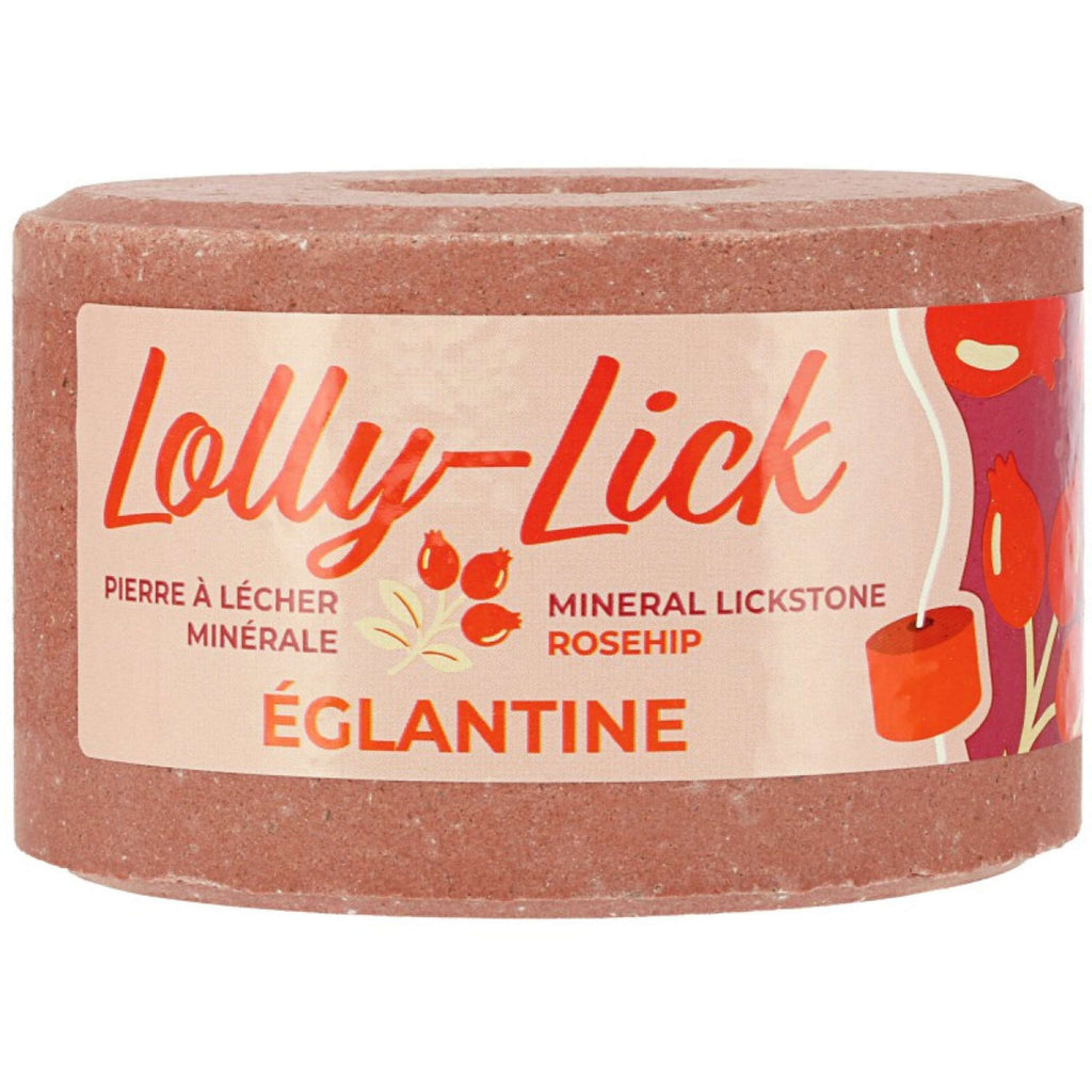 Hippotonic Lolly-Lick Églantier