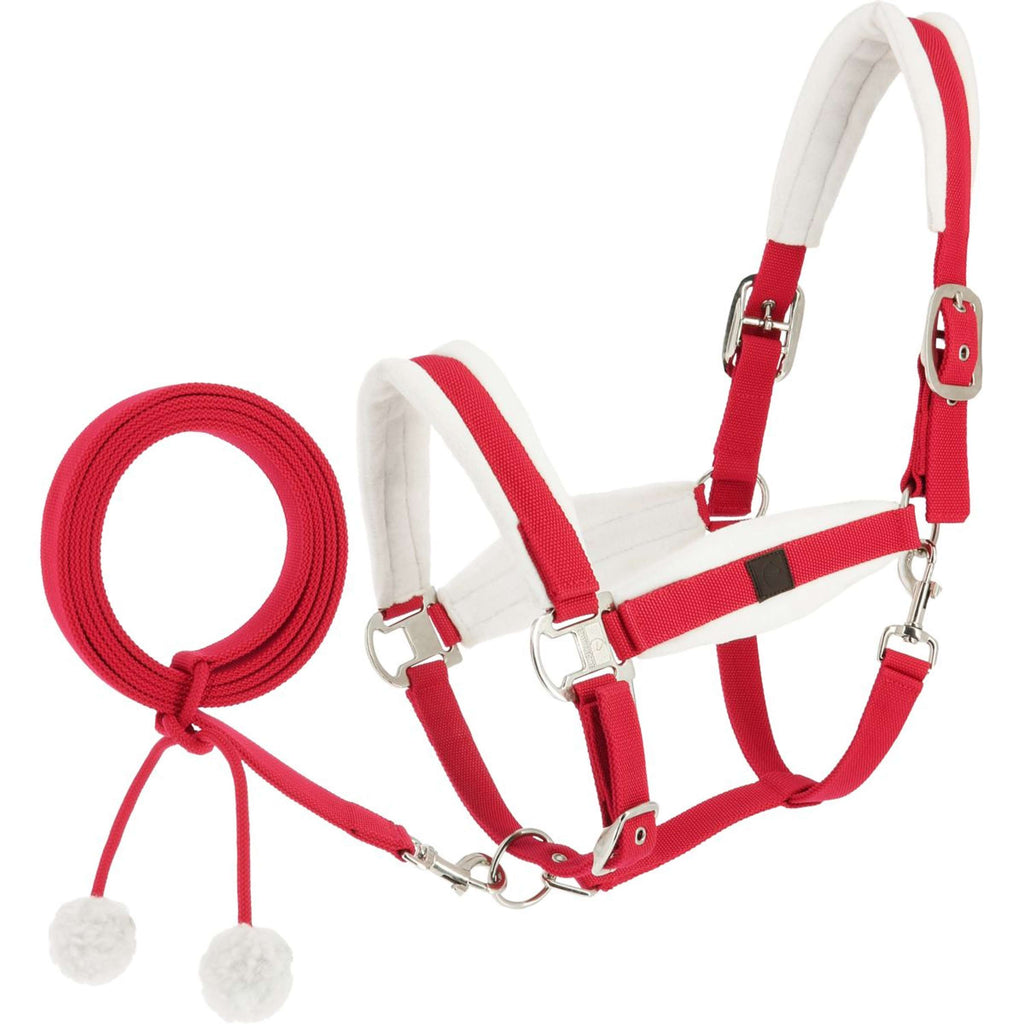 EQUITHÈME Ensemble Licol Noël Rouge
