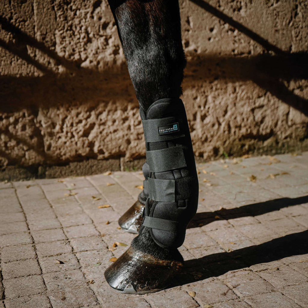 EQUITHÈME Protèges-Tendons Cool&Dry Noir