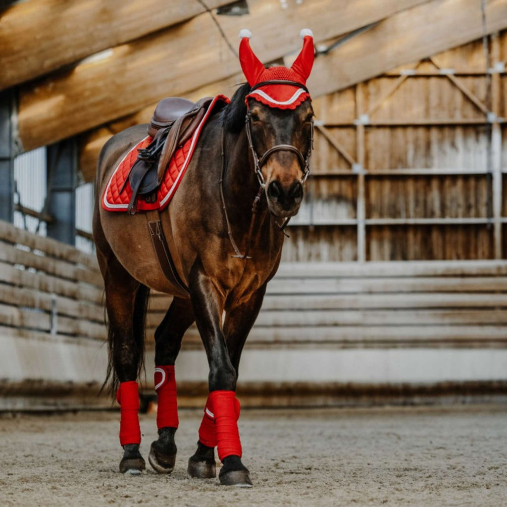 EQUITHÈME Bandages Noël Rouge