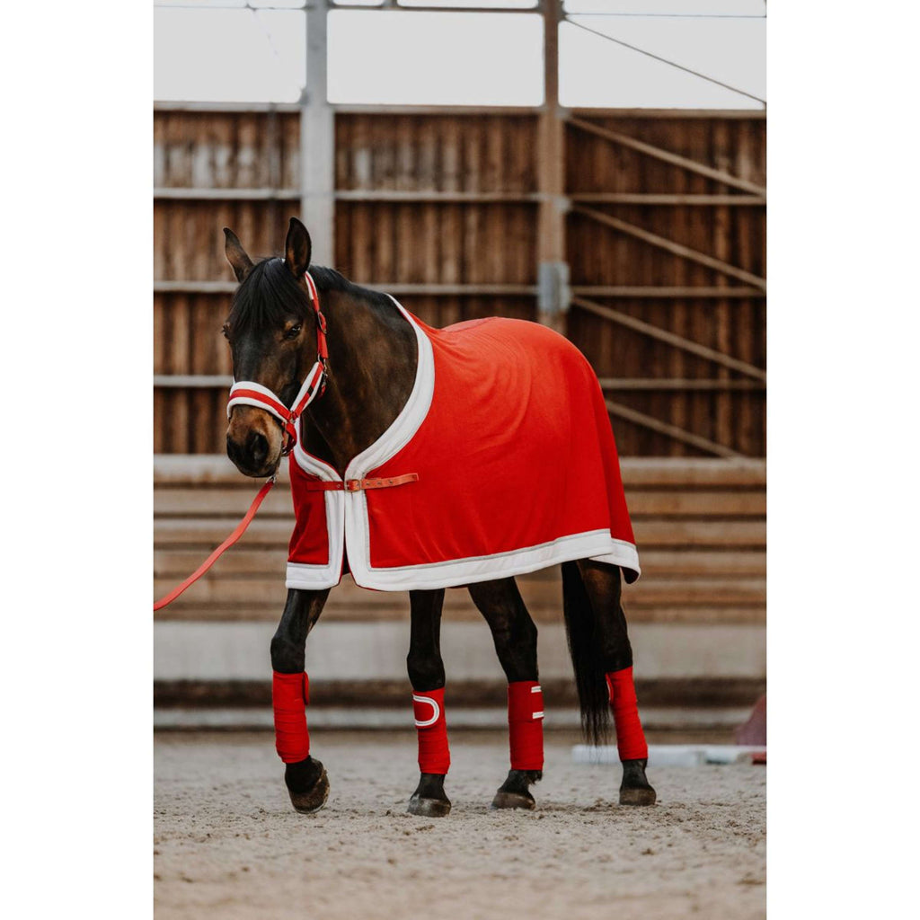 EQUITHÈME Ensemble Licol Noël Rouge
