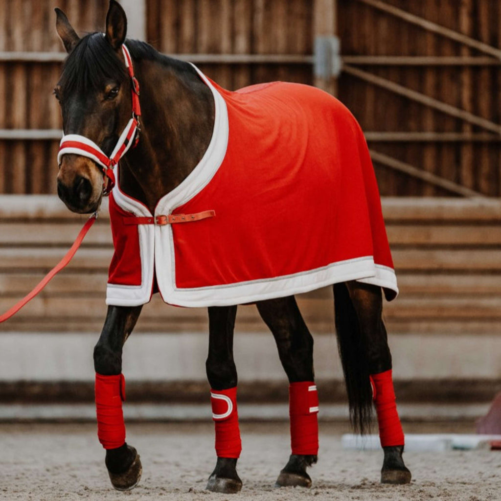 EQUITHÈME Bandages Noël Rouge