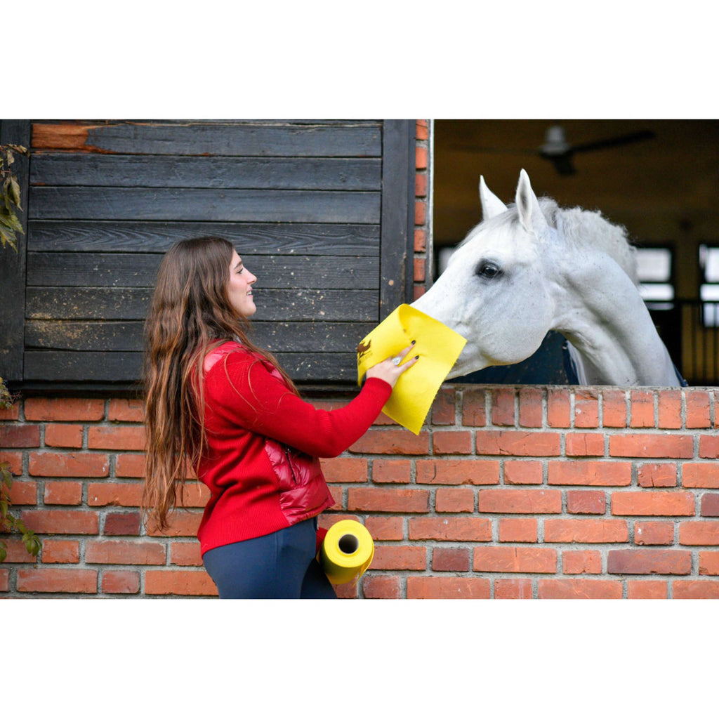 Horsewipe Rouleau de Chiffons de Nettoyage Jaune