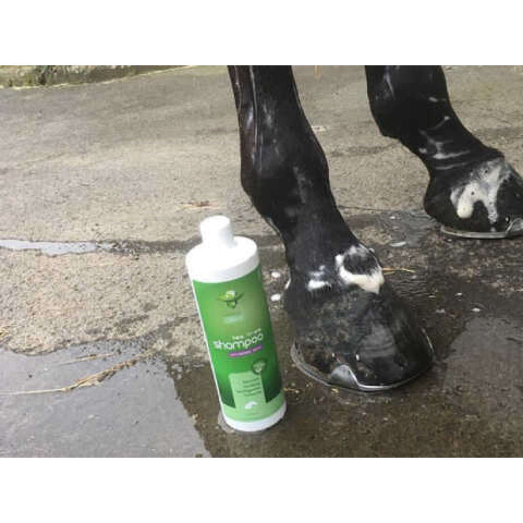 Animaderm Shampooing Tea Tree