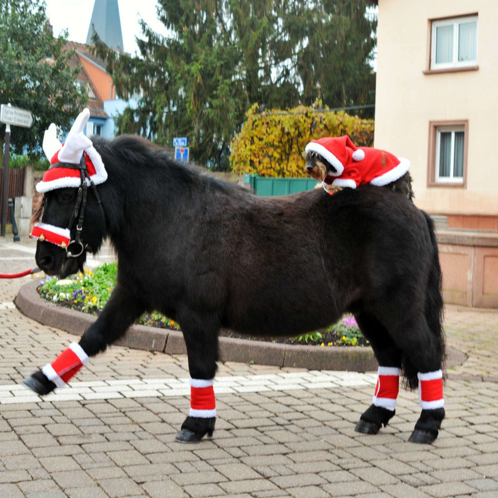 EQUITHÈME Antlers de Rennes Bonnet de Noel Rouge