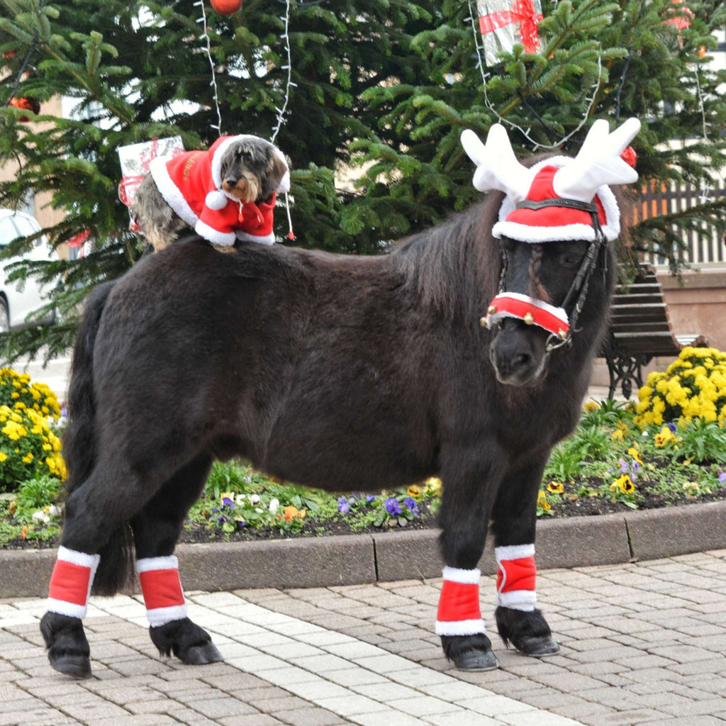 EQUITHÈME Antlers de Rennes Bonnet de Noel Rouge